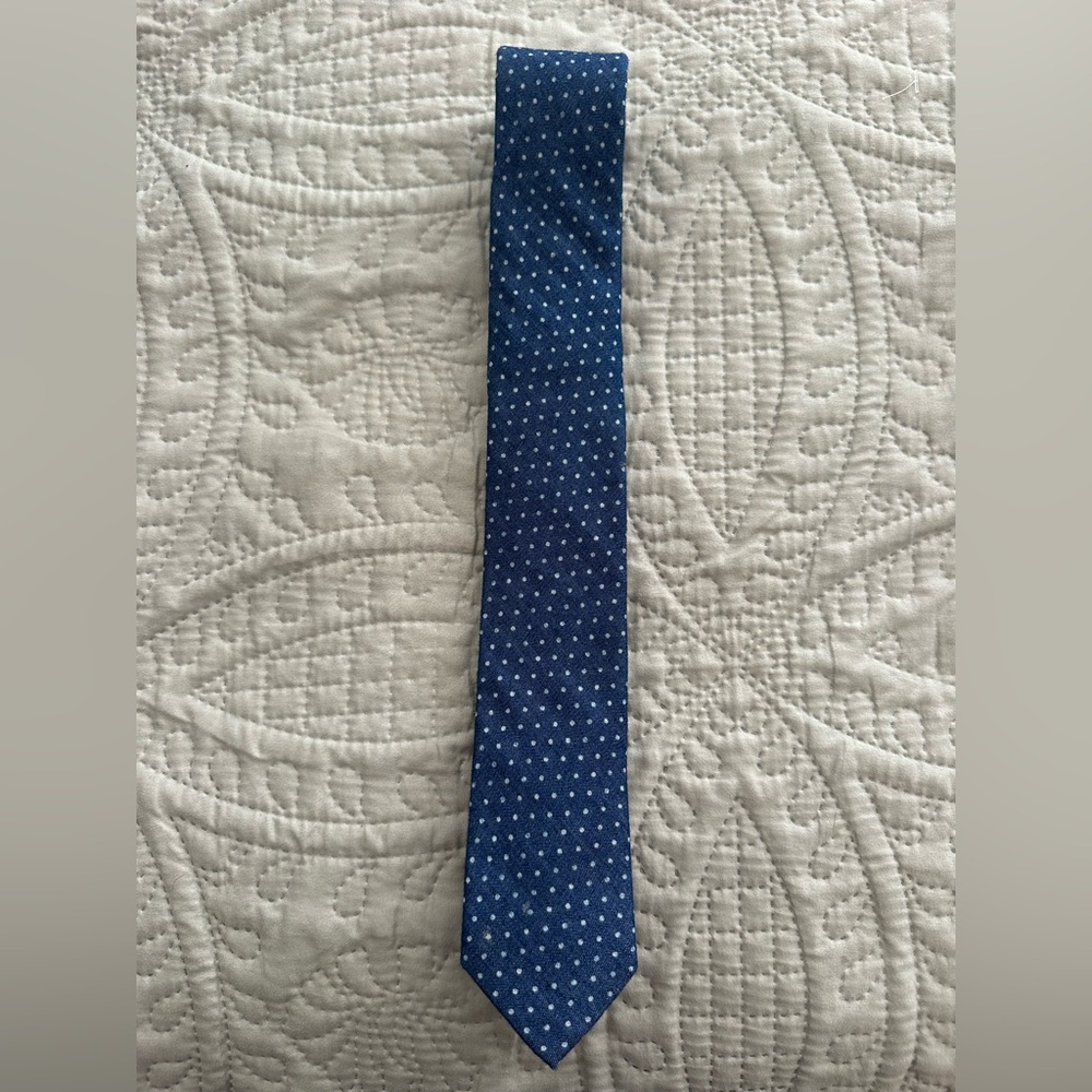 Banana Republic Blue w/ White Mini Polka Dot Tie